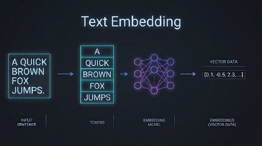 Tokenization and Text Embedding